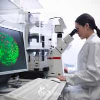 6 Cheapest Countries for Stem Cell Treatment
